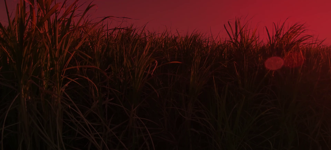 ‘Staple: What’s on your plate?’