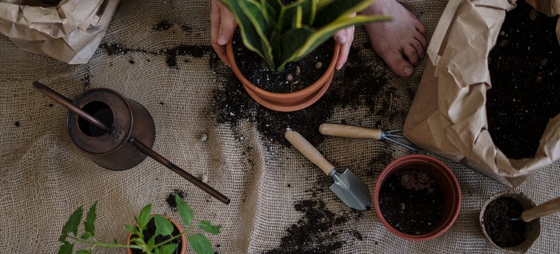 “اغرس طبقك” ورشة للأطفال