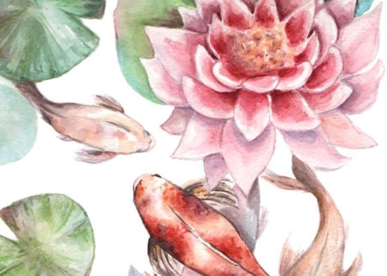 ماتسوري حي: ورشة رسم سمكة الكوي اليابانية