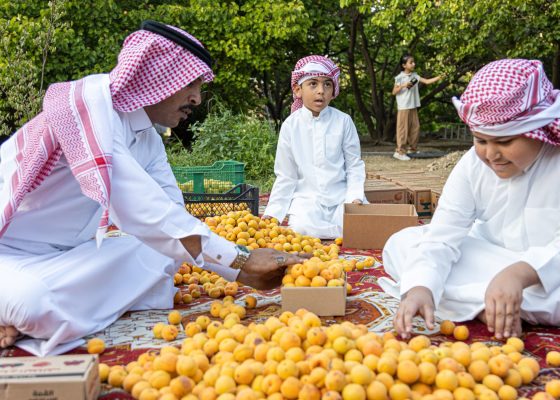 Local Farm Trip: An Art Jameel and Azka Farms Collaboration