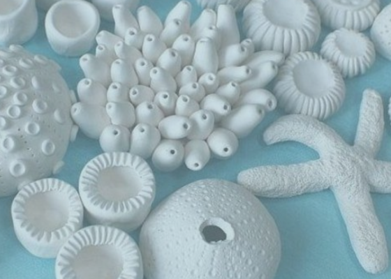 Explorers Workshop: Coral Creations Carnival – Papier Mache Making