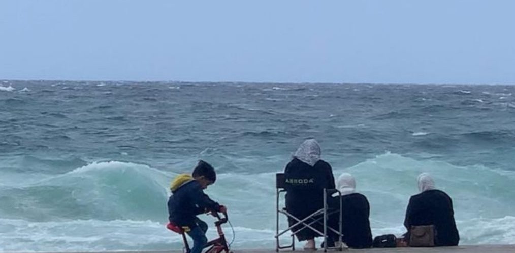 لماذا نذهب إلى البحر؟ ورشة سرد القصص عن طريق صنع الكتب المصورة من تقديم دارة الحنان