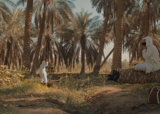 The Golden Palm Film Programme | The Best of the Saudi Film Festival
