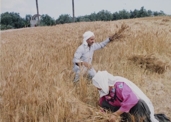 ‘Thread Memory: Embroidery from Palestine’ an Online Talk with Rachel Dedman, Amer Shomali and Nora Razian