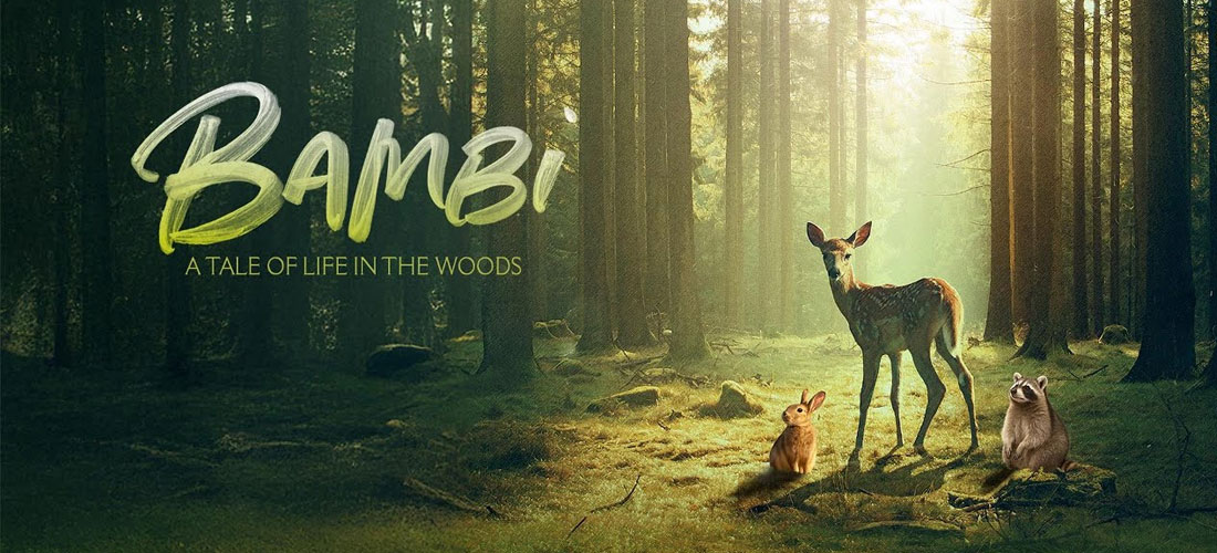 June 2025 At Hayy Cinema