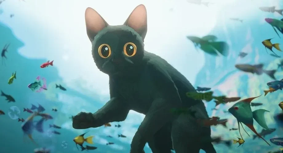 International Cat Day at Hayy Cinema