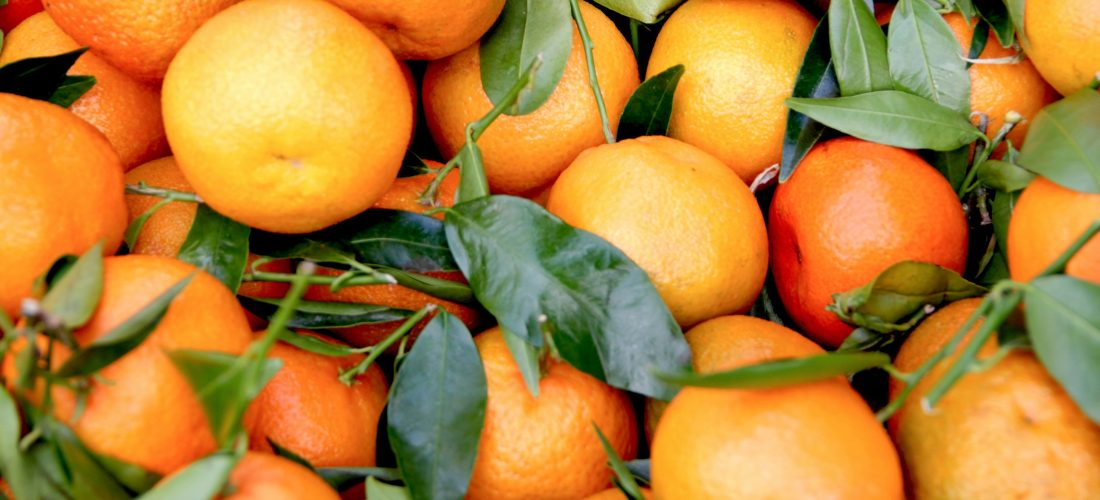 سوق أزكى للمزارعين: نسخة الحمضيات