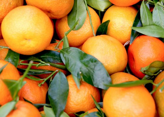 سوق أزكى للمزارعين: نسخة الحمضيات