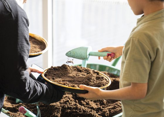 Thabat wa Nabat, Jeddah’s edible and sensory community garden