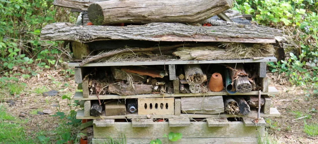 ثبات ونبات: عطلة نهاية الأسبوع مع فندق الحشرات!