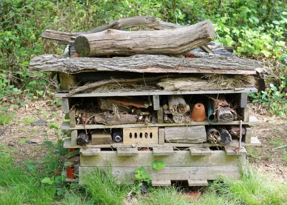 ثبات ونبات: عطلة نهاية الأسبوع مع فندق الحشرات!