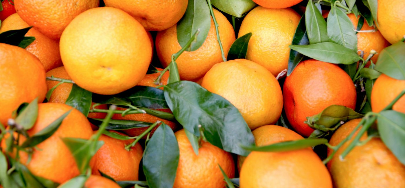 Azka Farmers Market: Citrus Edition