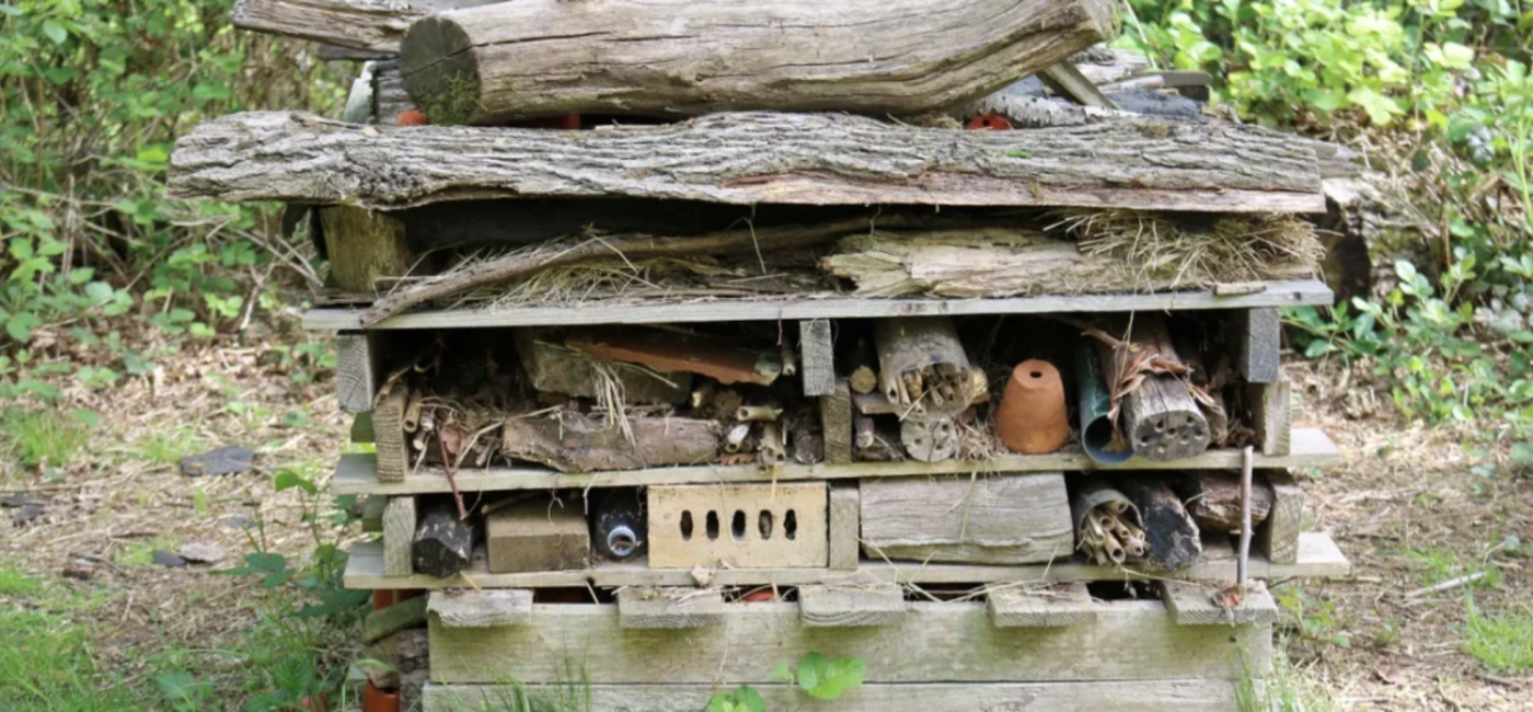 Thabat wa Nabat: Bug Hotel Weekend!