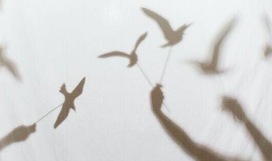 معسكر الرسوم المتحركة العملي2026