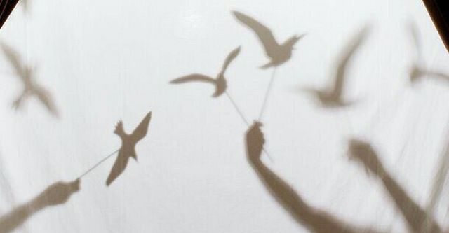 معسكر الرسوم المتحركة العملي2026