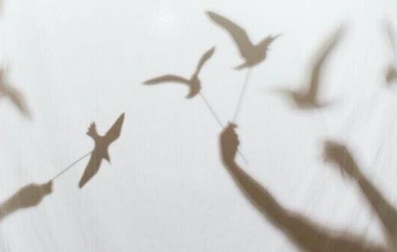 Hayy Explorers: Moving Waters, Moving Images: A Teen Animation Camp