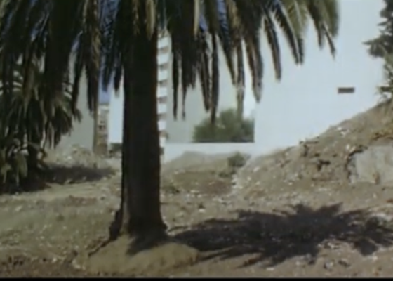 أضواء | برنامج الفيديوهات الفنية