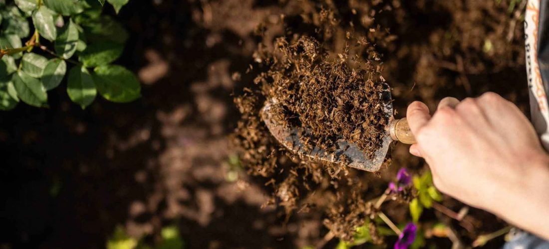 Return It to the Earth (How to Make Your Own Organic Compost from the Kitchen)