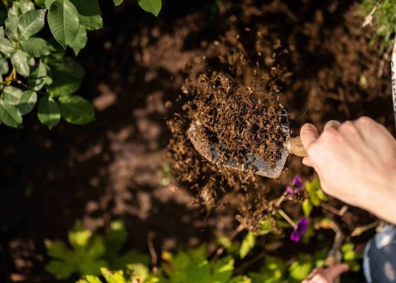 ورشة عمل: أعدها إلى الأرض (كيف تصنعون سماد عضوي من المطبخ)