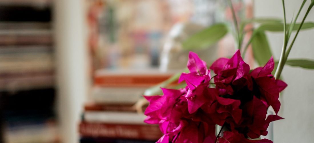 Community Garden | Growing Presence and Mindfulness in the Garden