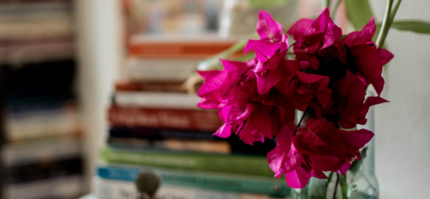 Community Garden | Growing Presence and Mindfulness in the Garden