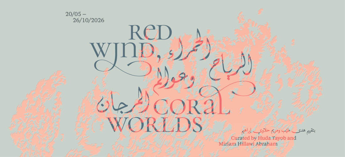 Hayy Arts | Red Wind, Coral Worlds