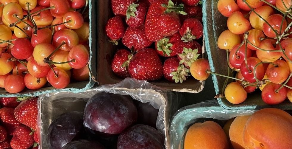 Azka Farmers Market: Summer Edition