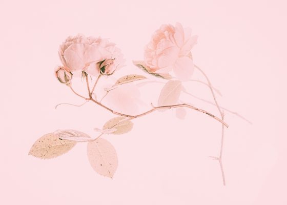 Hayy Makers | Creative Night: Create in Pink